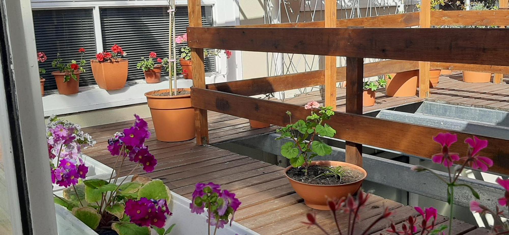 Appartement San Francisco à Mar del Plata Extérieur photo